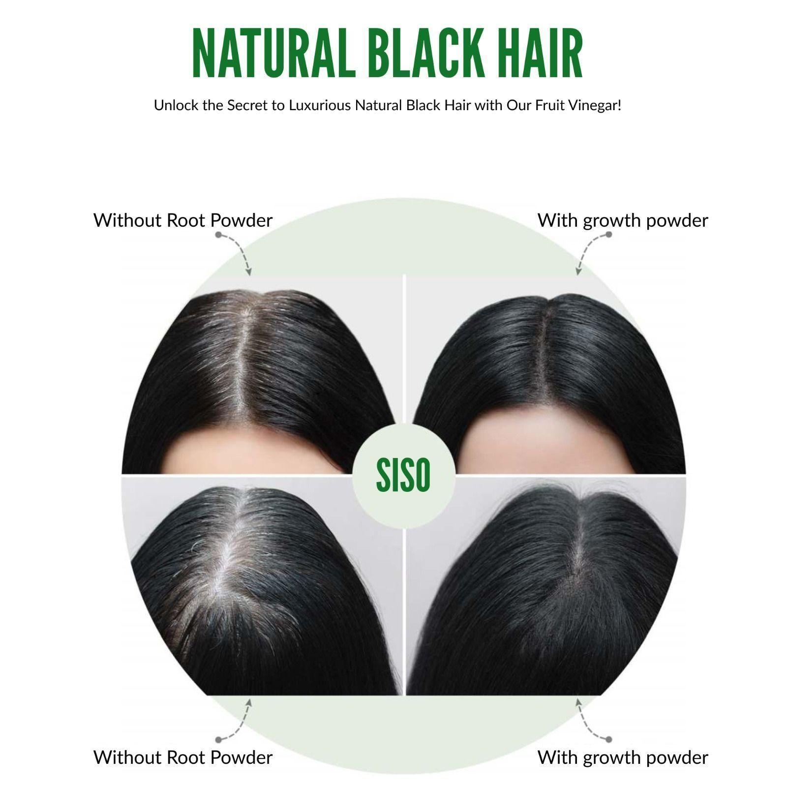 Fruit Vinegar Gel Based Hair Color 125 ml (Pack of 2)