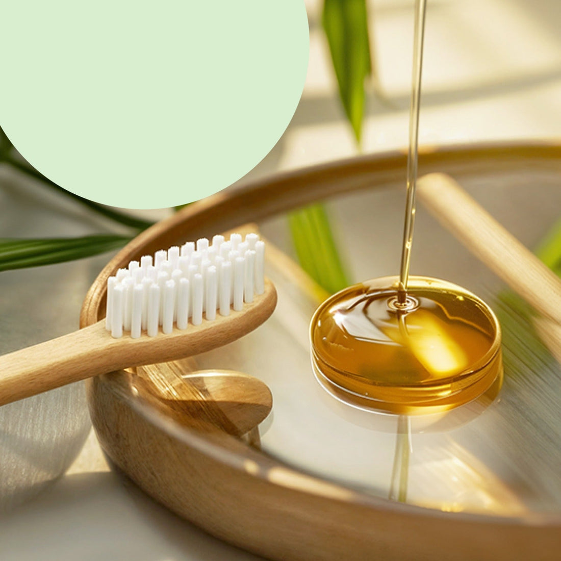 Eco-Friendly Natural Bamboo Toothbrush with Medium Bristles (2 Pc)