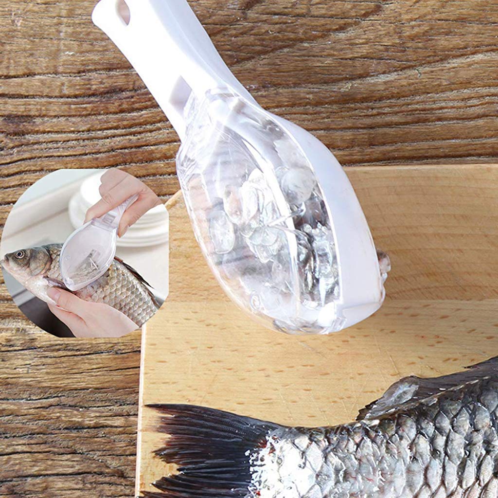 Fish scale scraper and skin peeler tool for kitchen use.